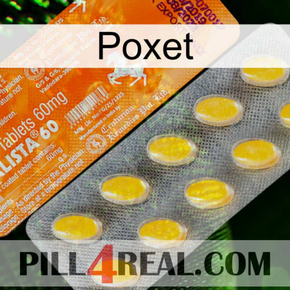 Poxet new05.jpg